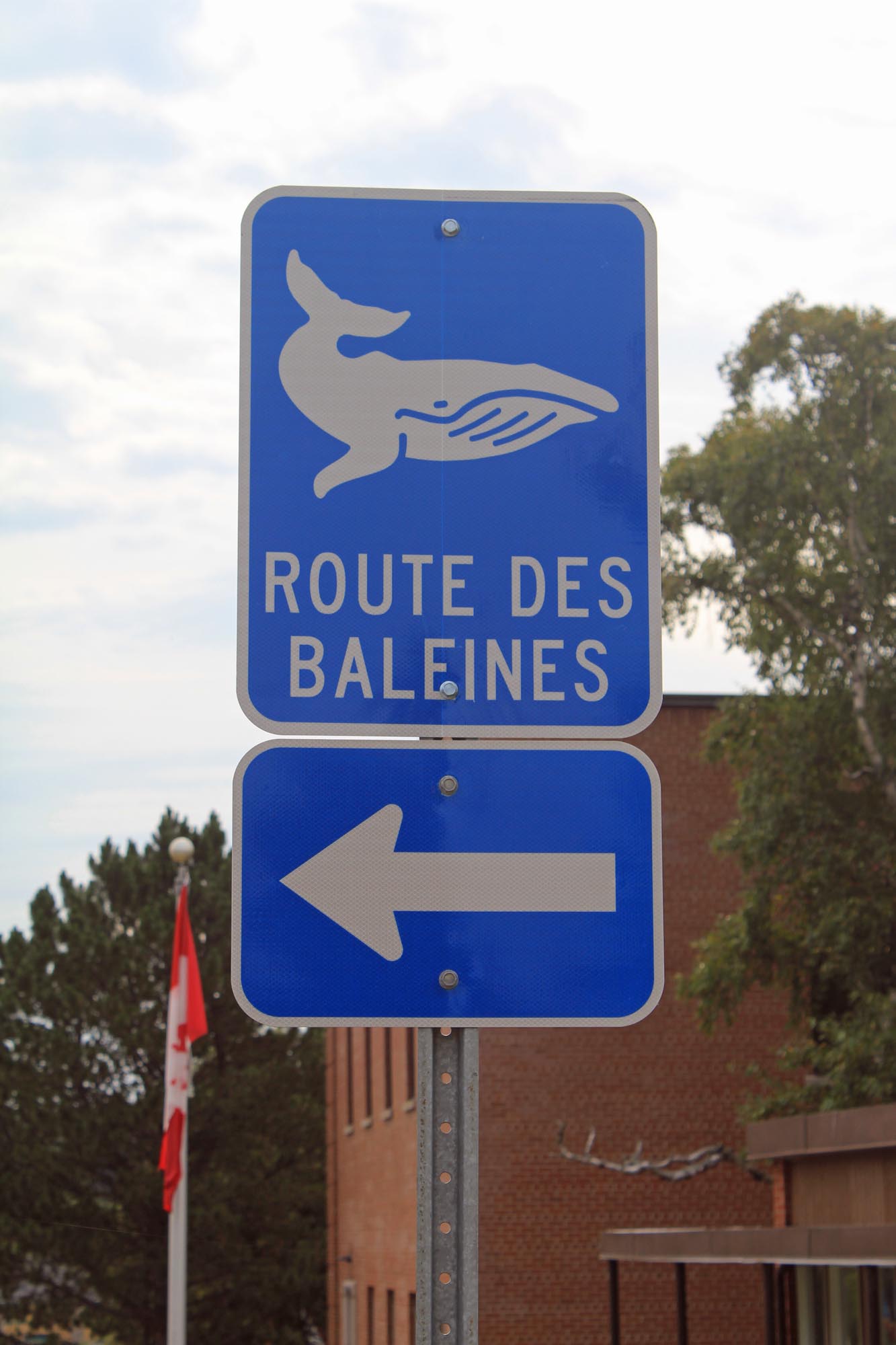 Route des baleines, Tadoussac