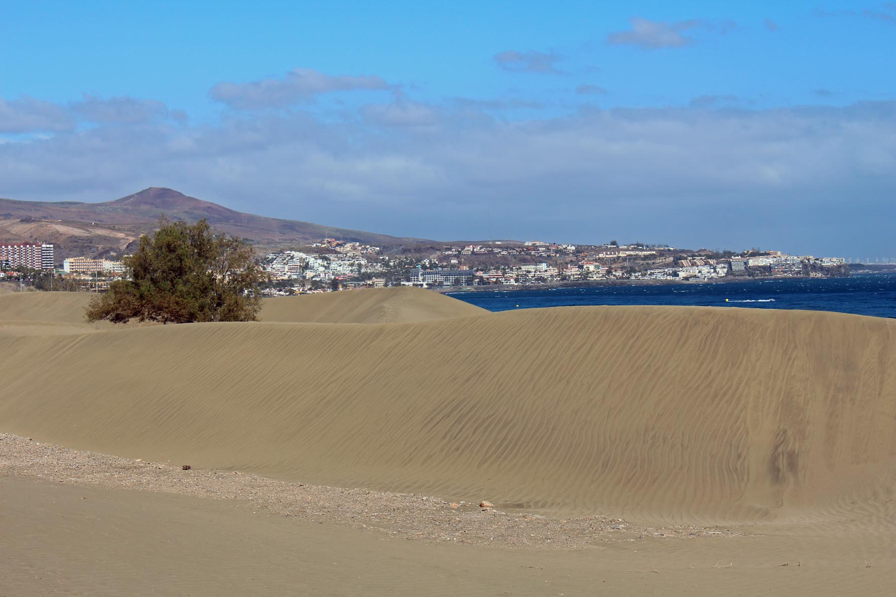Grande Canarie, Playa del Inglés, dunes