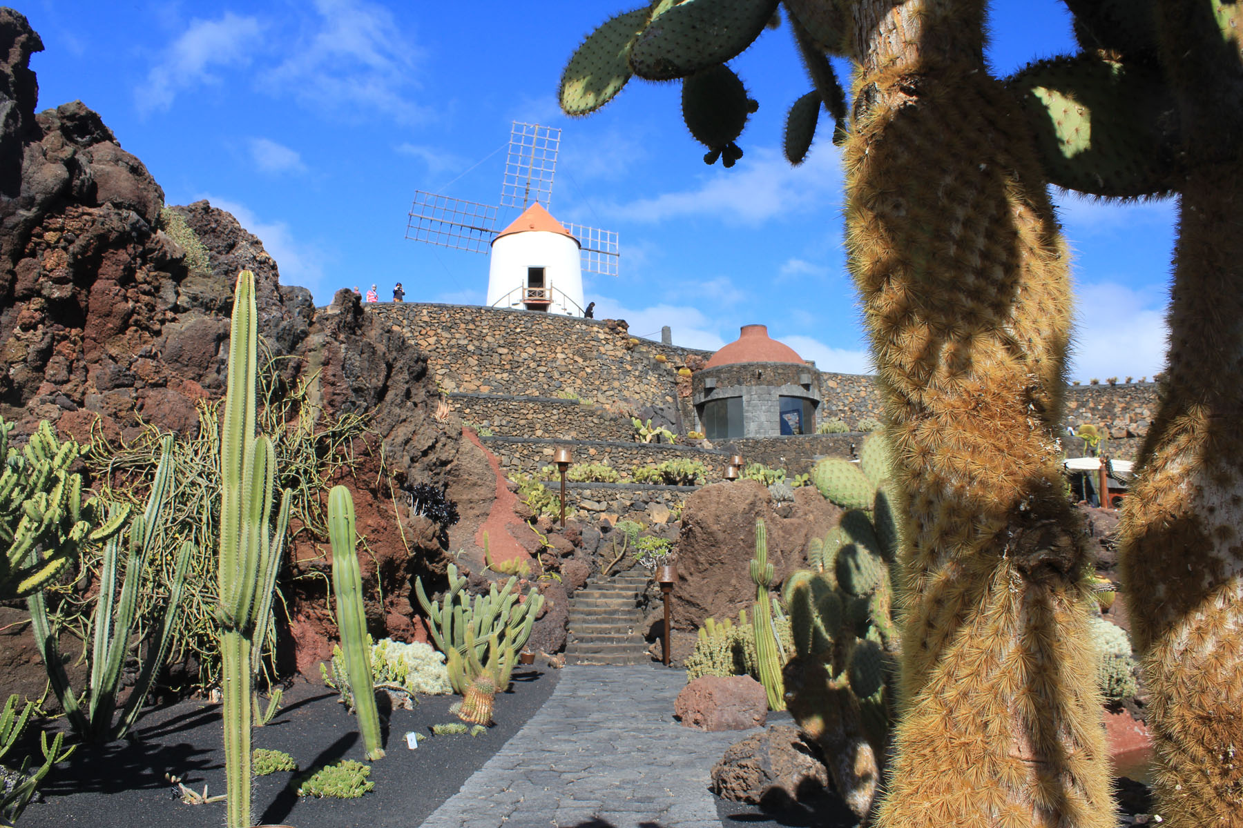 Lanzarote, Guatiza, Jardin de cactus