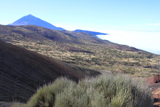 Pic de Teide