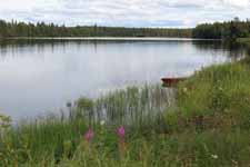 Rivière Kitinen