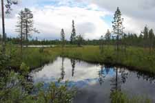 Tulivuoripuisto