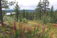 Enontekiö