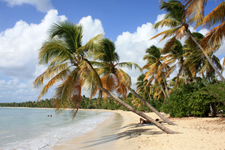 Martinique