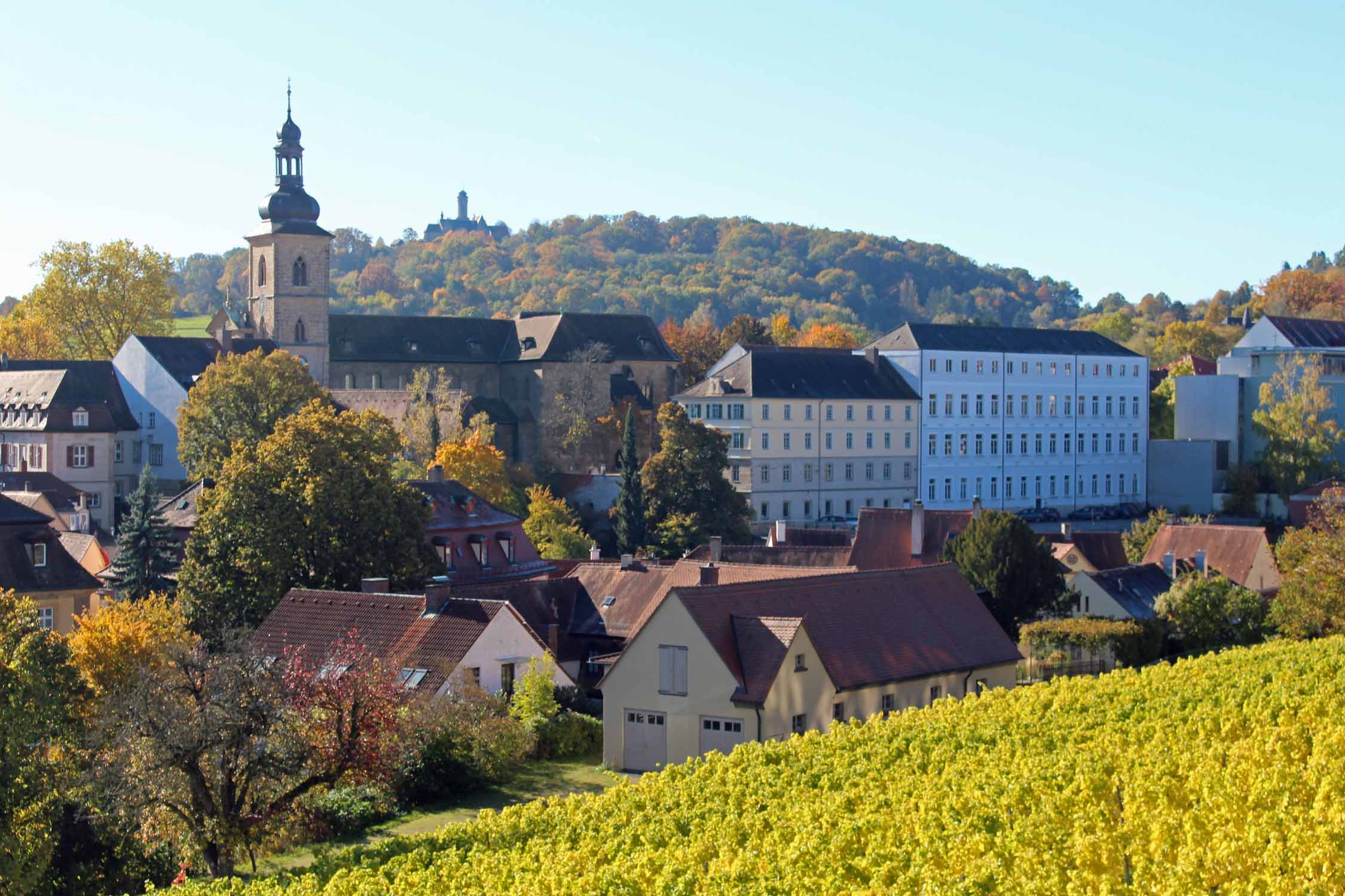 Bamberg, paysage, vignobles
