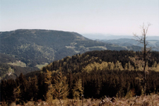 Forêt-Noire
