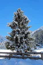 Mittelberg