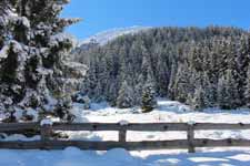 Mittelberg