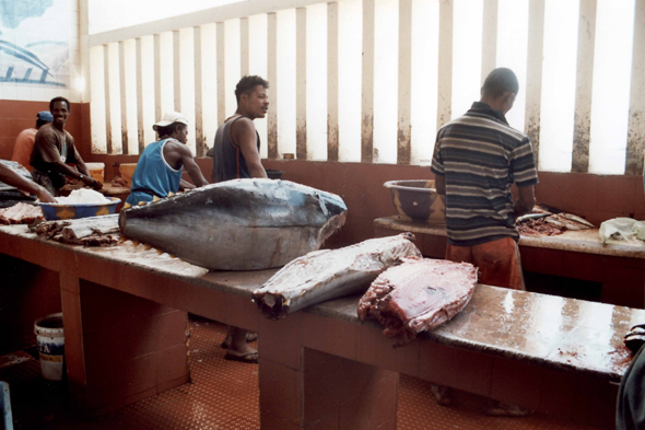 Cap-Vert, Mindelo, marché aux poissons