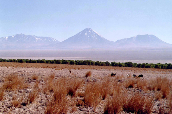 Désert d Atacama, paysage