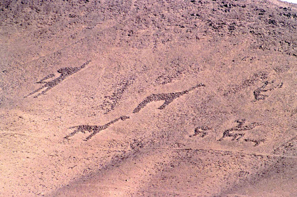 Azapa, géoglyphes d'Atoca