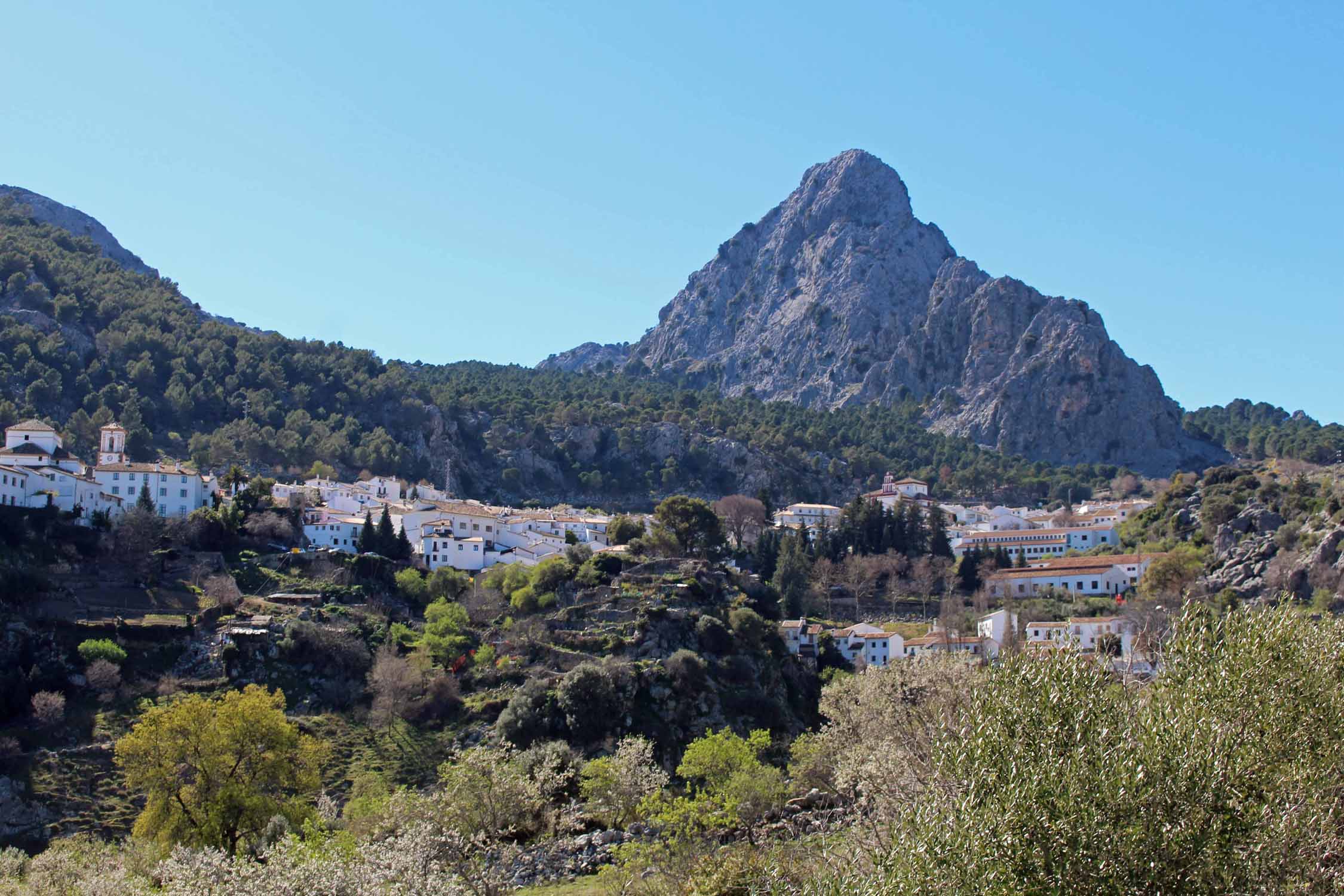 Sierra de Grazalema, village blanc