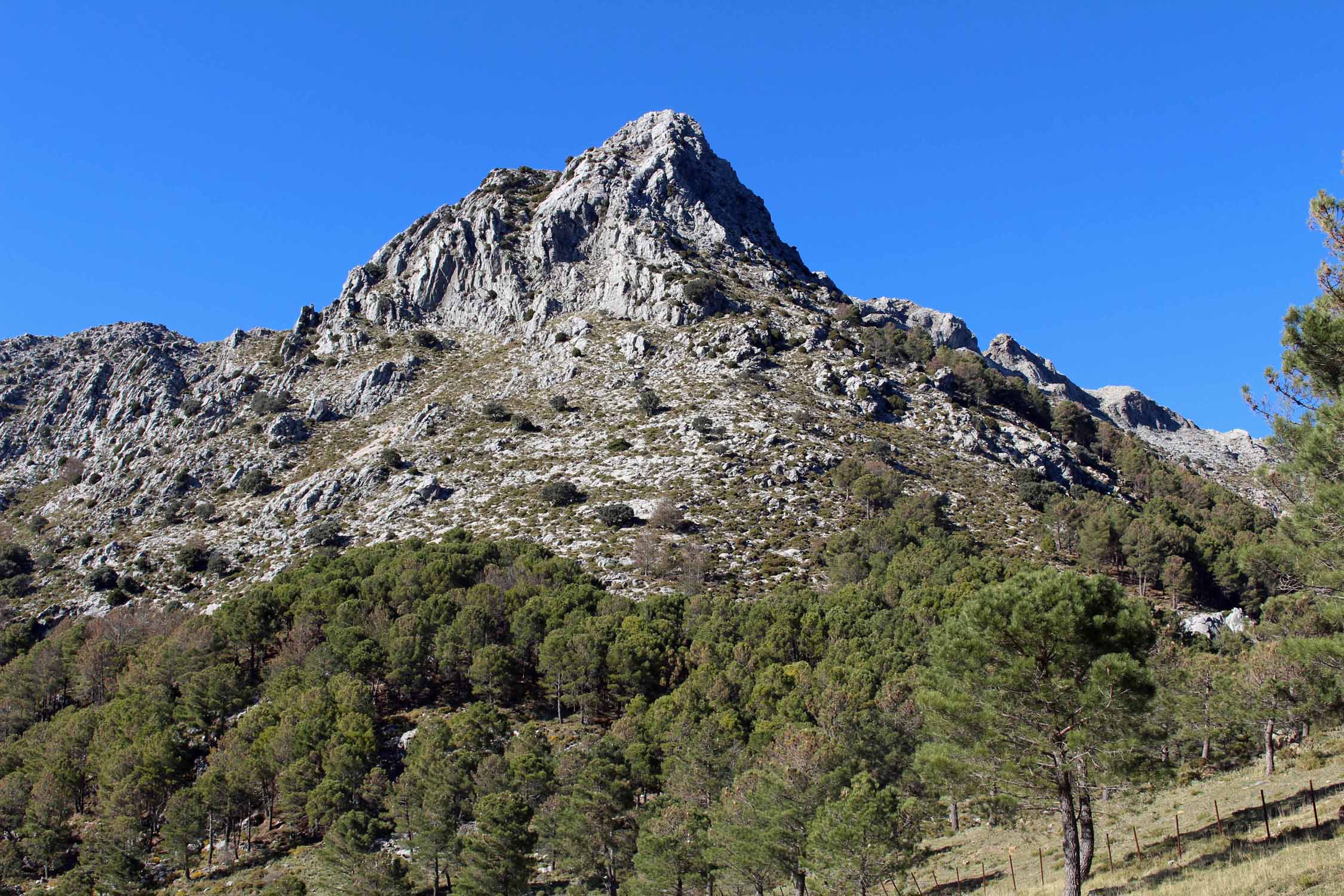 Sierra de Grazalema, montagne, paysage