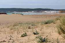 Barbate