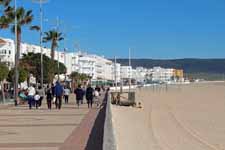 Barbate