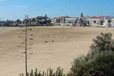 Rota