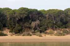 Parc de Doñana