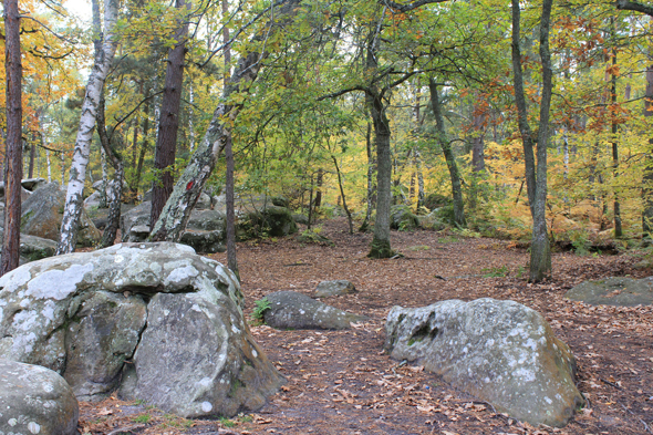 Fontainebleau, forêt