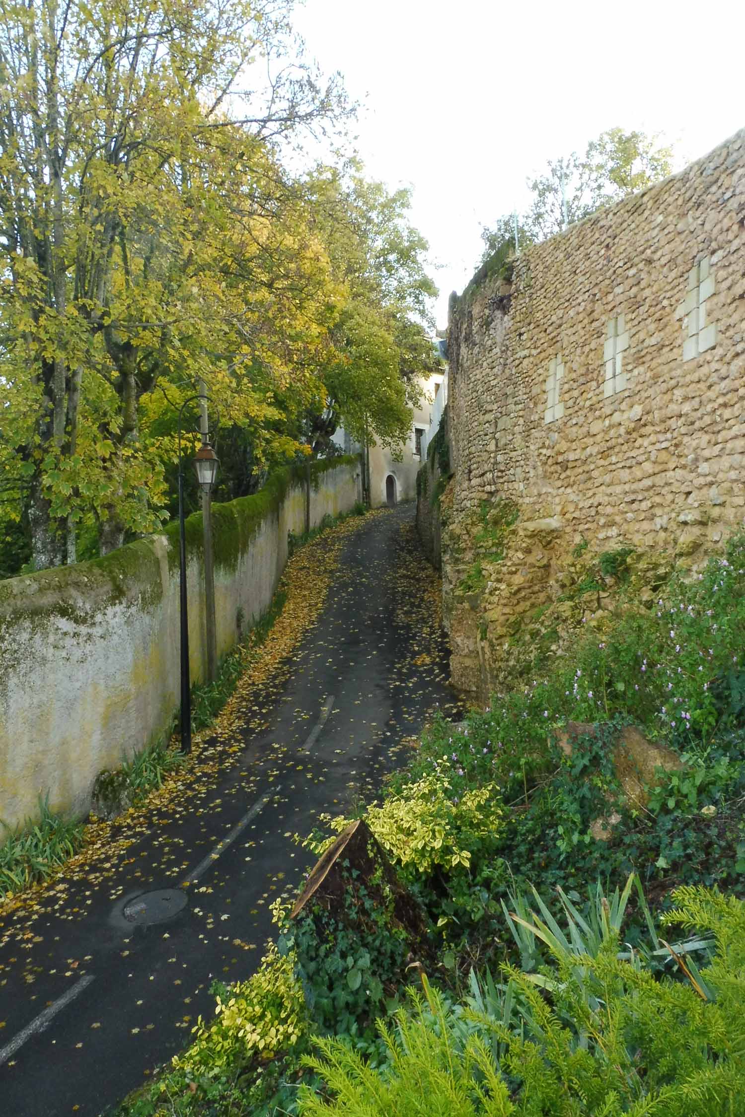 Montreuil-Bellay, ruelle, automne