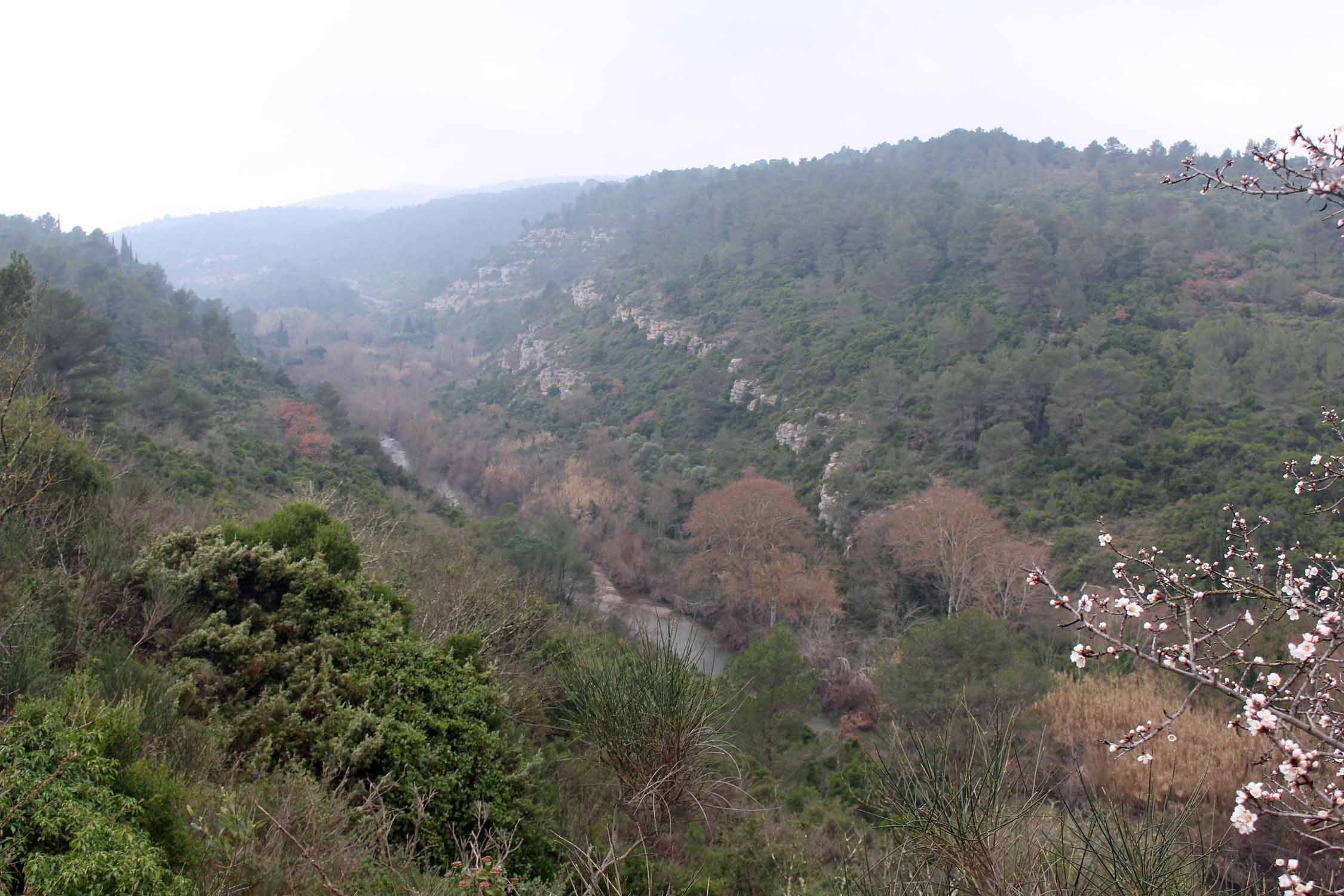 Lagrasse, vallée de l'Orbieu