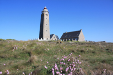 Cap Lévi