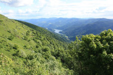 Vosges