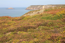 Cap Fréhel