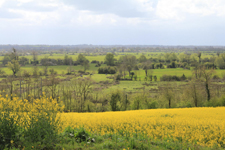 Marais du Cotentin