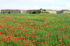 Fort de La Prée