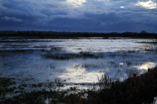 Les marais