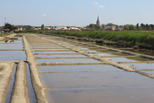 Ile-d-Olonne