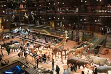 Galerie de l'évolution
