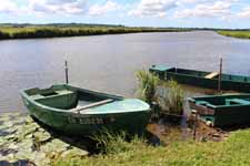 Marais du Cotentin