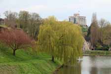 Falaise