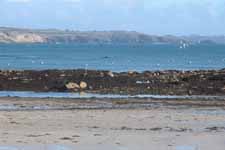 Plage du Trez Hir