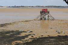 Ile Madame