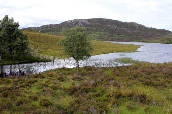 écosse, Loch Tarff