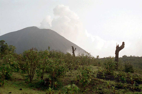 Pacaya, volcan
