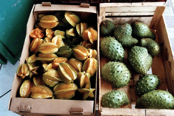Guadeloupe, Vieux-Habitants, fruits