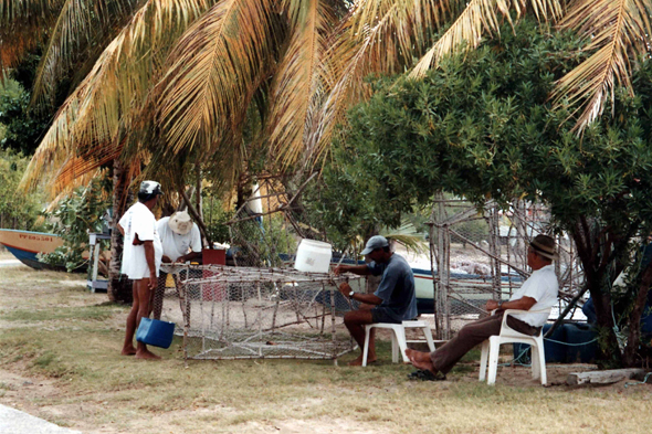 Guadeloupe, Les Saintes, pêcheurs