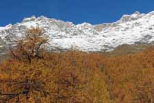 Valtournenche