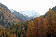 Champlong