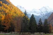 Parc du Grand Paradis