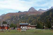 Champoluc