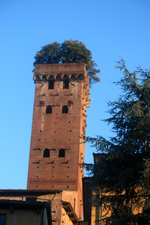 Torre Guinigi