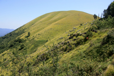 Alpes Apuanes