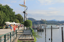 Arona