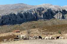 Mont'Albo