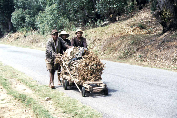 Fianarantsoa, transport du bois