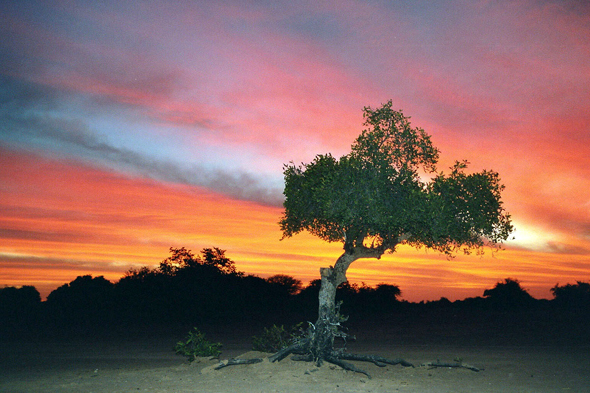 Mali, Sahel, coucher de soleil